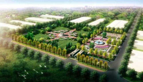 武城农业园林景观设计 融合自然、生产与美学的乡村振兴新实践